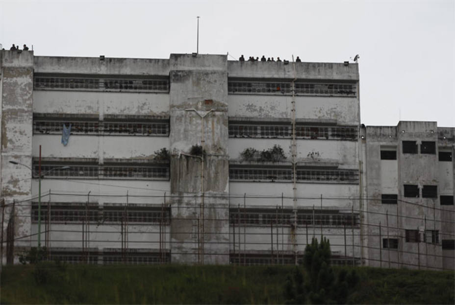 ACN ramo verde