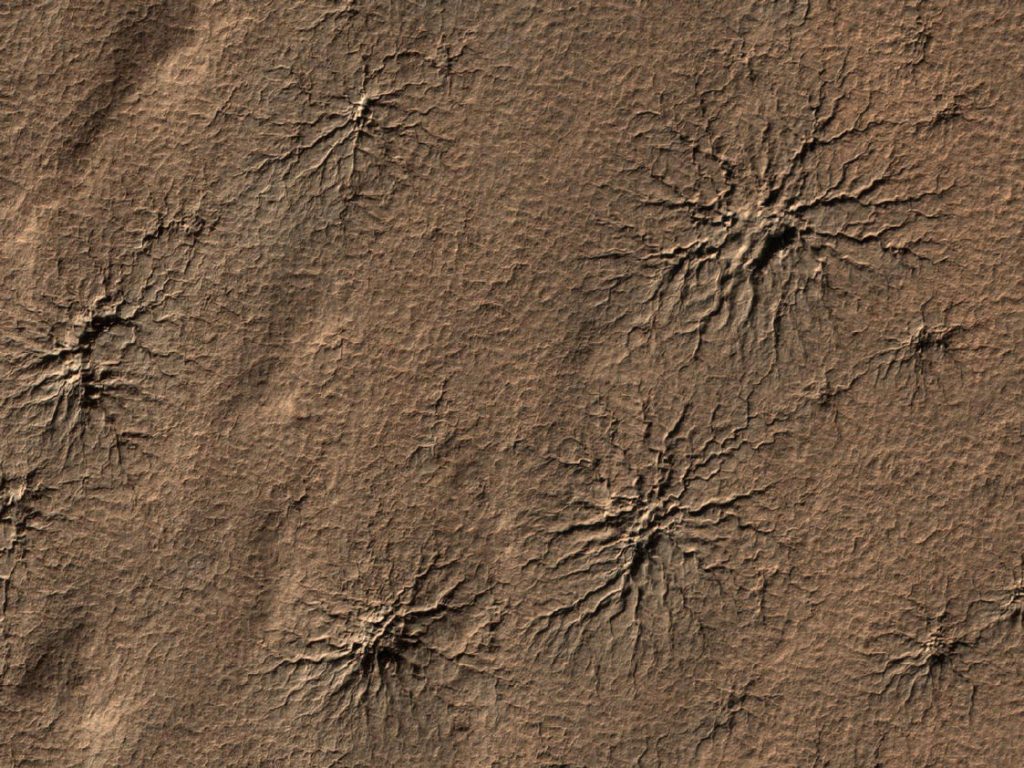 Teniendo en cuenta la intensidad de la radiación en el regolito de Marte; los datos obtenidos por nosotros permiten suponer que los hipotéticos ecosistemas de Marte; podrían conservarse en estado anabiótico en la capa superficial del regolito.