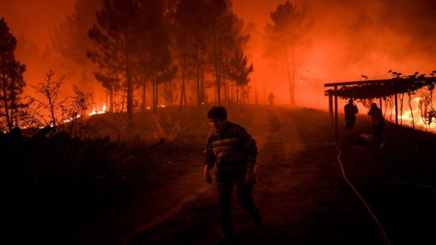 Incendios Forestales obligan evacuar amplias zonas rurales de Portugal. Foto: fuentes.