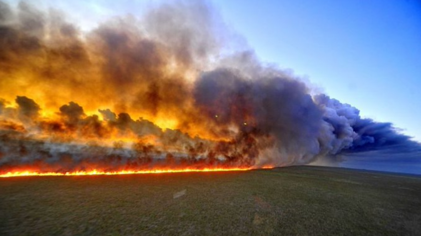 El Amazonas arde sin control: incendios forestales masivos en Brasil. Foto: fuentes.