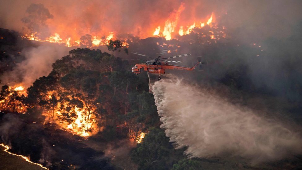 Autoridades australianas alistan una evacuación masiva en Nueva Gales del Sur, ante el avance los incendios forestales. Foto: fuentes
