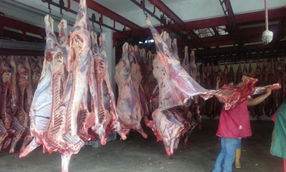 carne de res y pollo