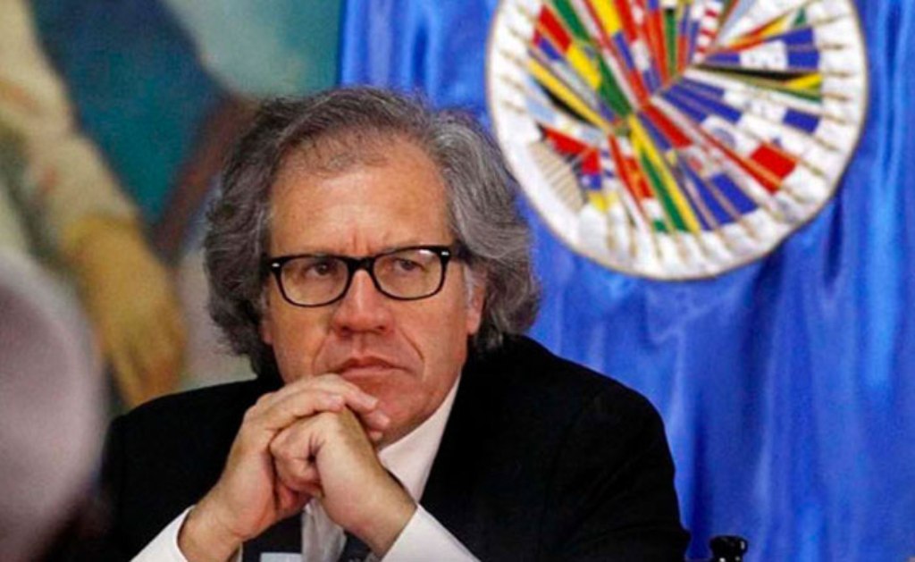 Luis Almagro-acn