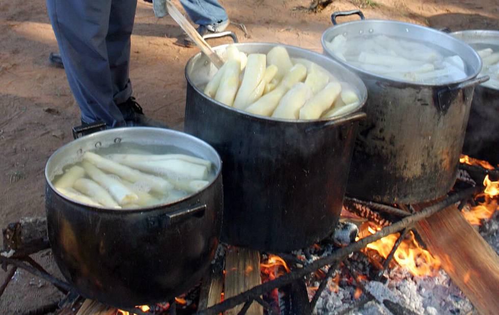 Yuca amarga