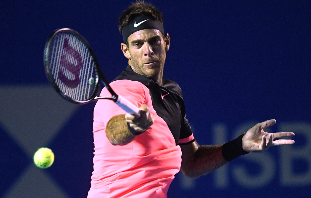 Juan Martín Del Potro jugará semis del Abierto de México - ACN
