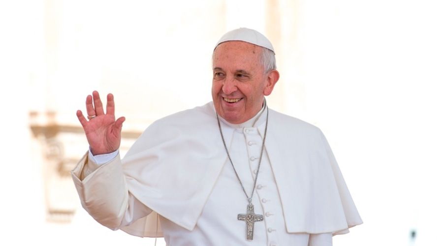 Papa - acn
