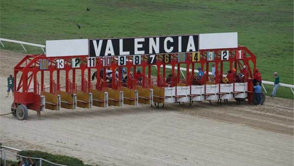 Jinetes, entrenadores, medida de aprehensión -. acn
