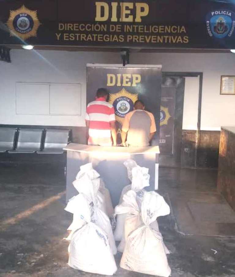 Hurtaban 200 kilos de maíz - acn