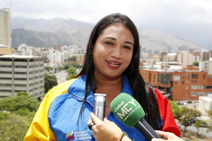 Diputada acn