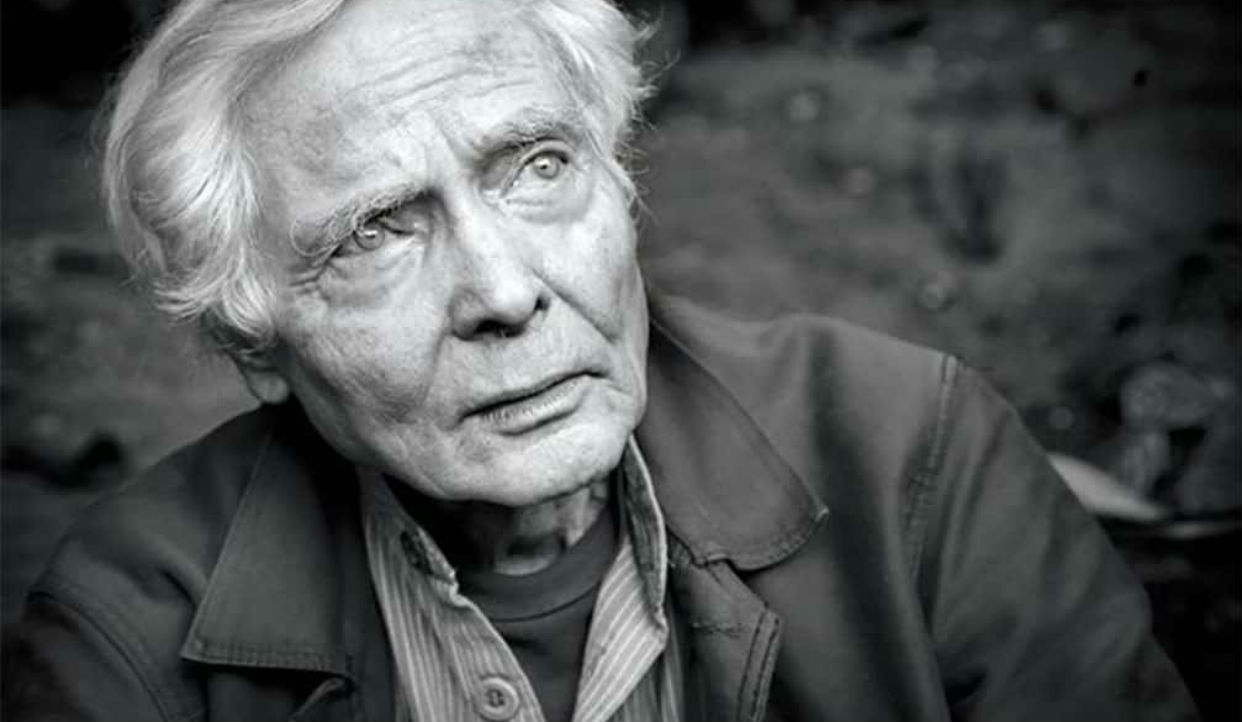 ACN poeta premio pulitzer