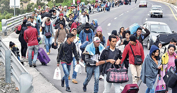 ACN migración