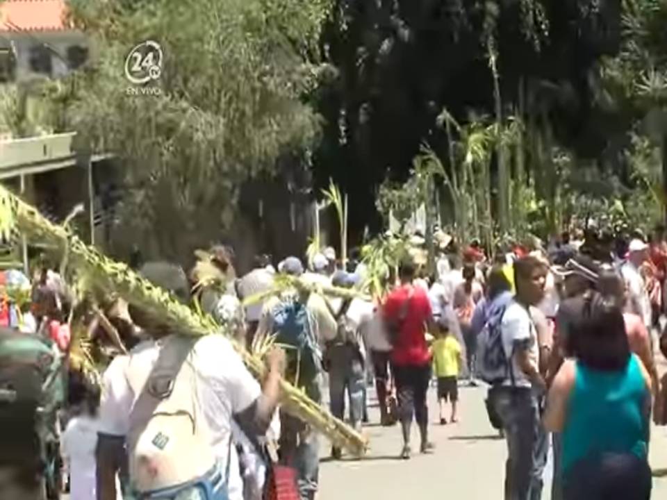 ACN domingo de ramos
