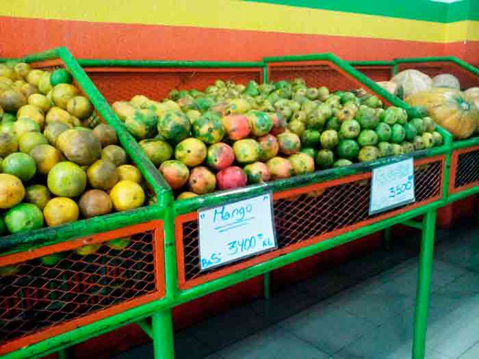 ACN FRUTAS