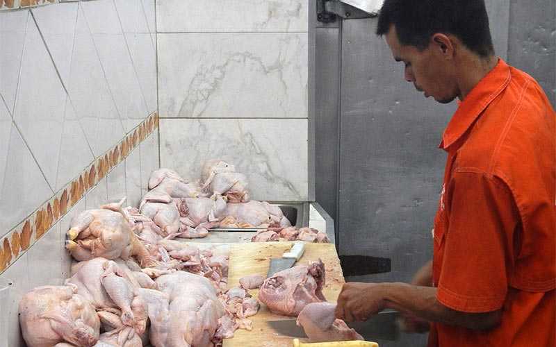 ACN carne y pollo