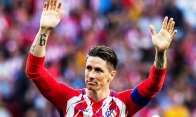 Fernando Torres se va de los campos - noticiasACN