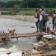 tiroteo frontera colombo-venezolana. ACN