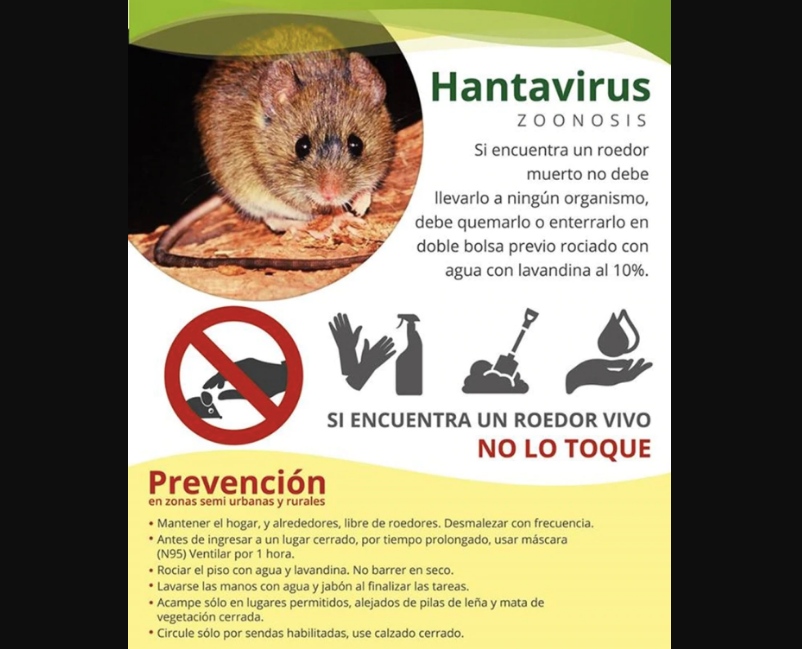 Prevención contra el contagio del virus Hanta. Foto: fuentes.
