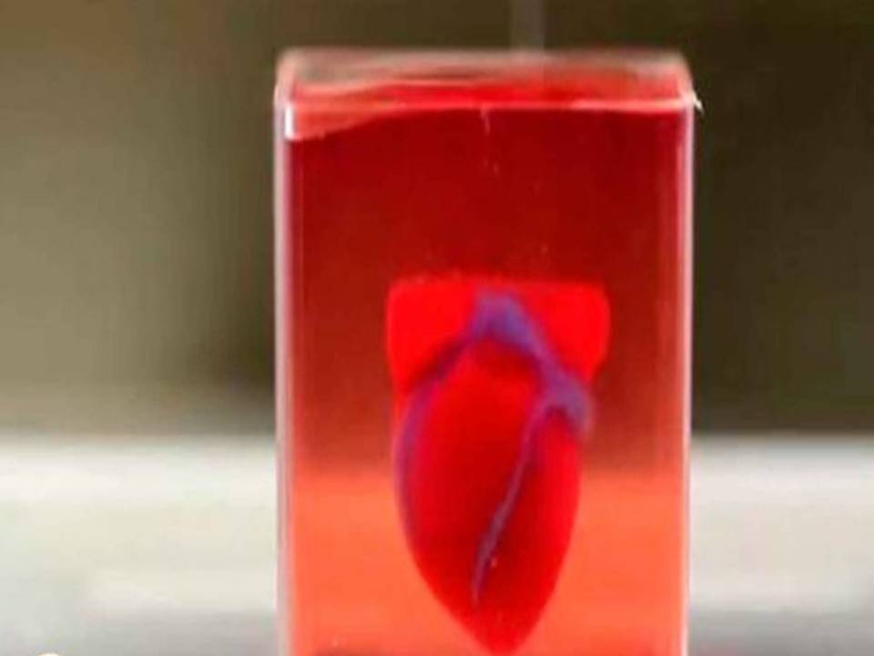primer corazón impreso en 3D- acn