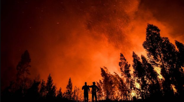 Enormes incendios en Portugal hacen evacuar amplias zonas rurales