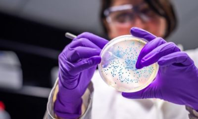 Aparece en Europa una suberbacteria resistente a los antibióticos