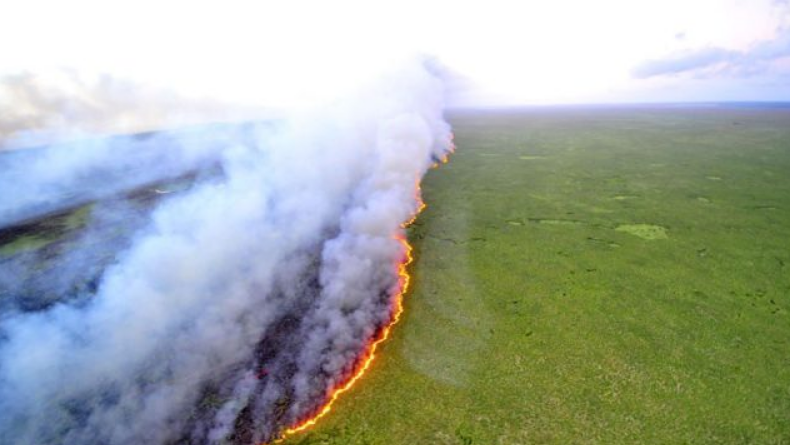 El Amazonas arde sin control: incendios forestales masivos en Brasil