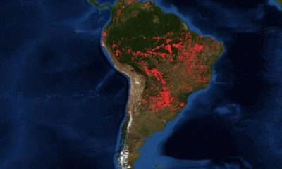 Pulmón del Mundo - ACN