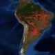 Pulmón del Mundo - ACN