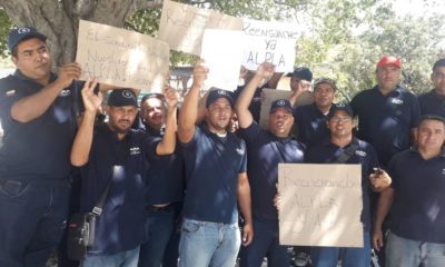 trabajadores de alpla- acn