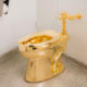 Sanitario de oro - ACN