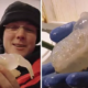 Científicos de la Antártida encuentran una bizarra criatura debajo del hielo
