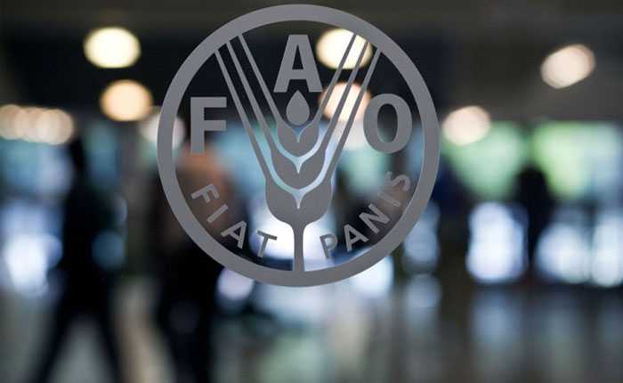 ayuda alimentaria extrema- acn