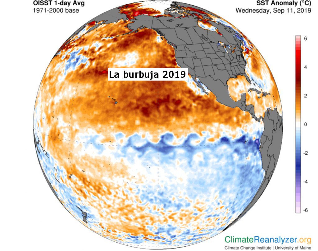 La nueva “burbuja”, consiste en agua marina a una temperatura de 3°C por encima de lo normal. Foto: fuentes.