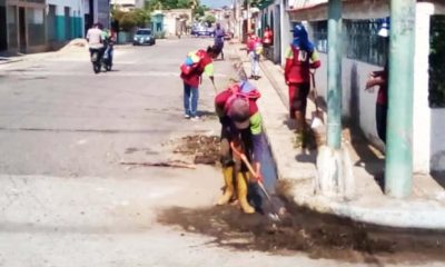 la sorpresa- acn