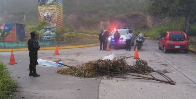 Explosión de granada causó dos muertos - acn