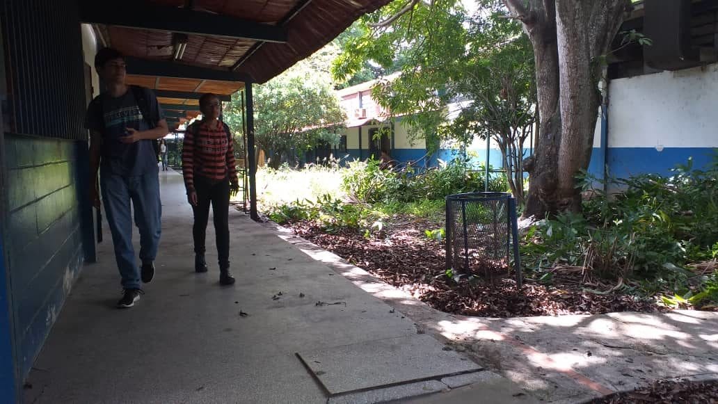 universidad de carabobo- acn