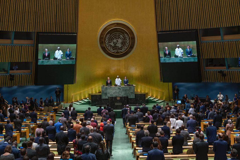 DDHH DE LA ONU- acn