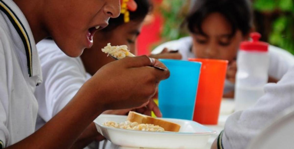 alimentar o educar a sus hijos- acn