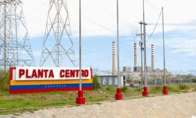 planta centro- acn
