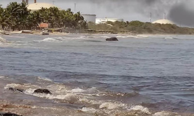 Playa El Palito - acn