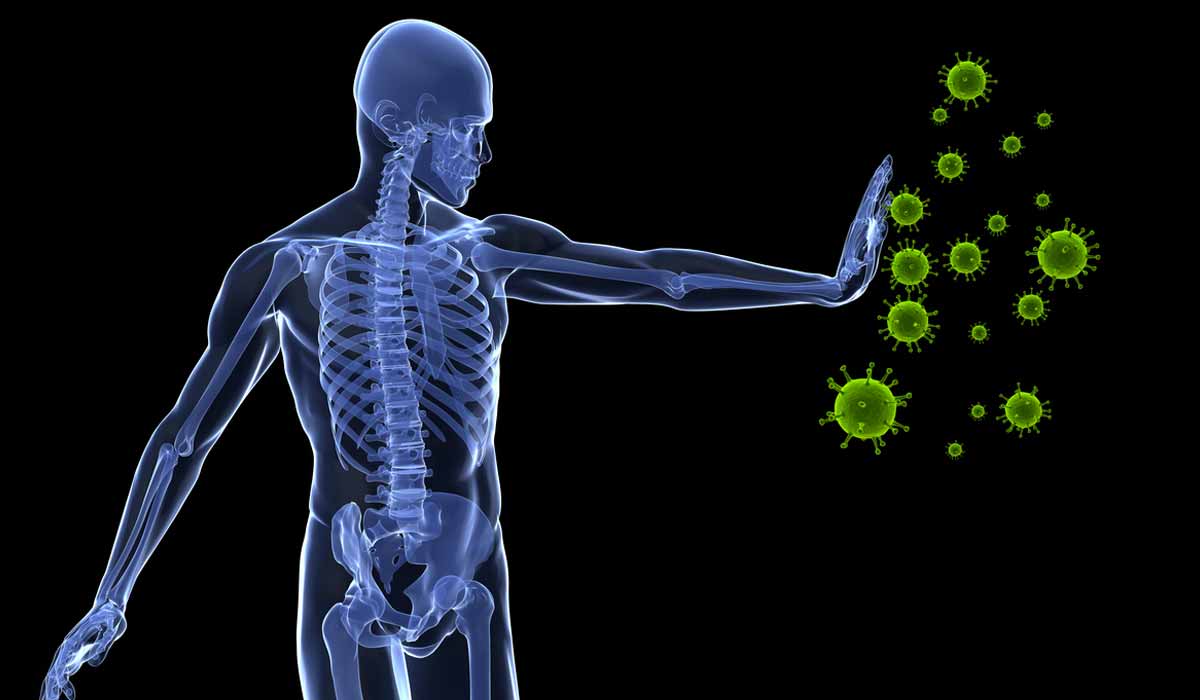Hallazgo en el sistema inmune podría lograr la erradicación del cáncer