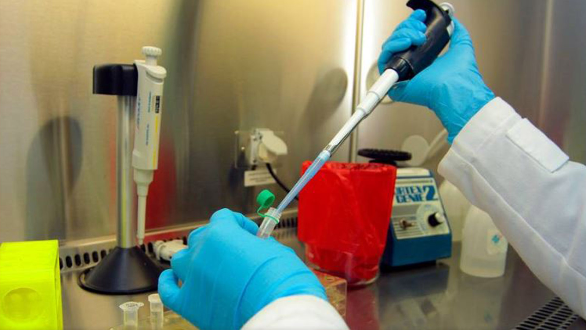Coronavirus - acn