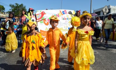 carnavales escolares- acn
