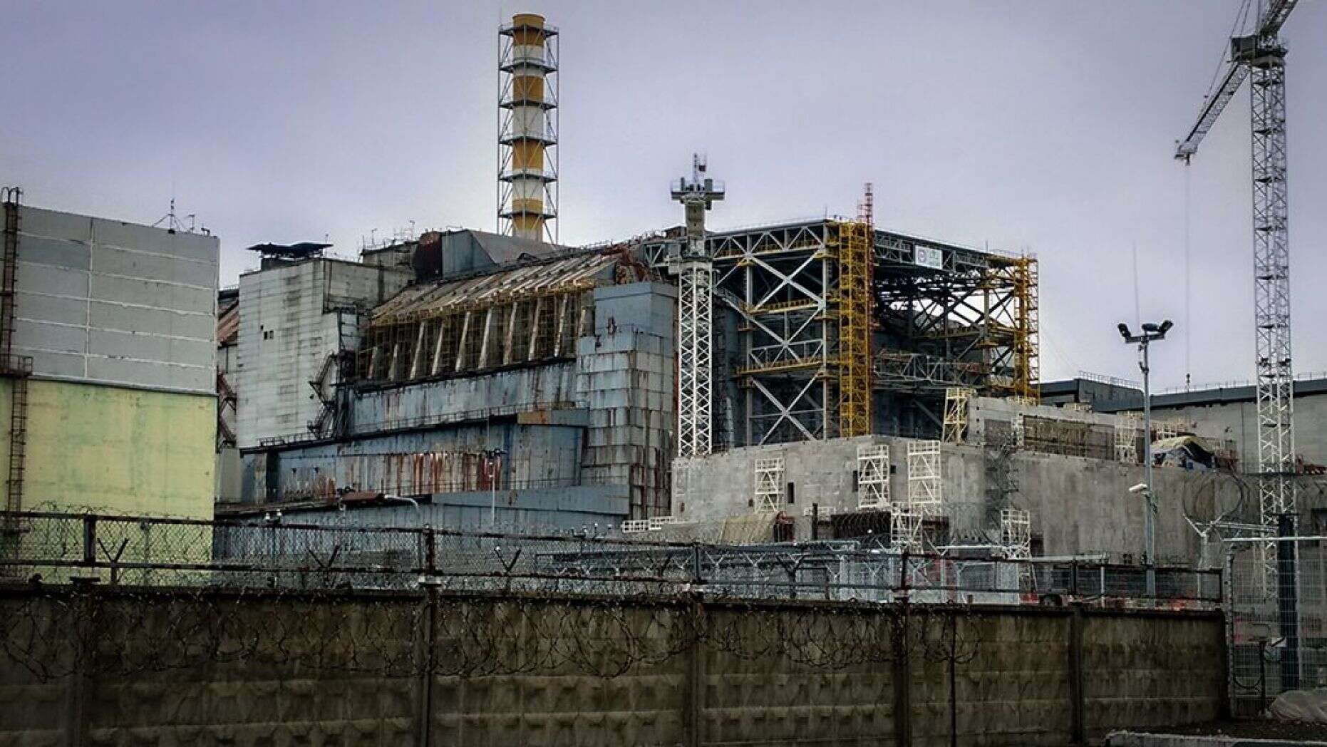 Insólito! Descubren un hongo que vive en la radiación de Chernobyl