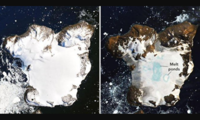 Imágenes satelitales revelan dramático descongelamiento en la Antártida