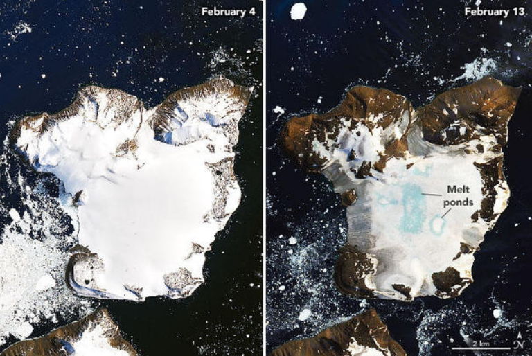 Diferencia en la capa de hielo de la Isla Eagle, entre los días 4 y el 13 de febrero. Foto: fuentes.