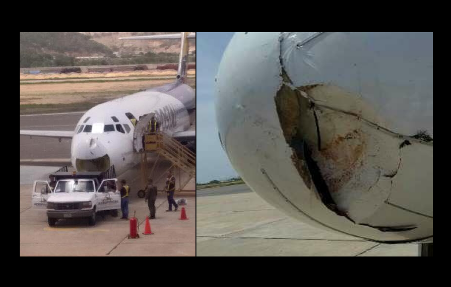 El 16/07/2011, la aeronave YV-2992 chocó con una bandada de zamuros sobre Cumaná. Foto: fuentes.