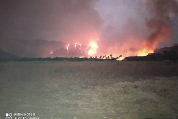 incendio forestal aragua- acn