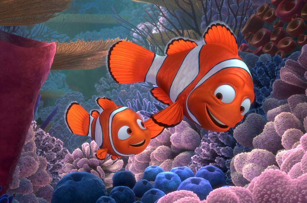 Buscando a Nemo - ACN