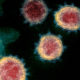 Coronavirus sobrevive a más de 60 grados