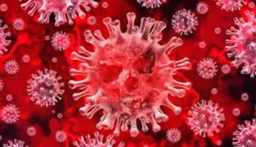 Calculadora del coronavirus - ACN
